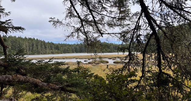 South Slough National Estuarine Research Reserve