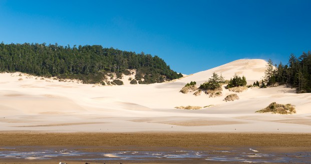 Oregon Dunes National Recreation Area