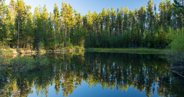 Blue Mountain Scenic Byway