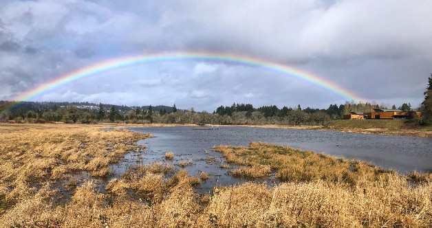 The Tualatin River National Wildlife Refuge